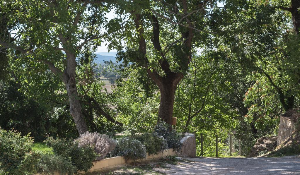 B&B Cantico Delle Creature Ασίζη Εξωτερικό φωτογραφία