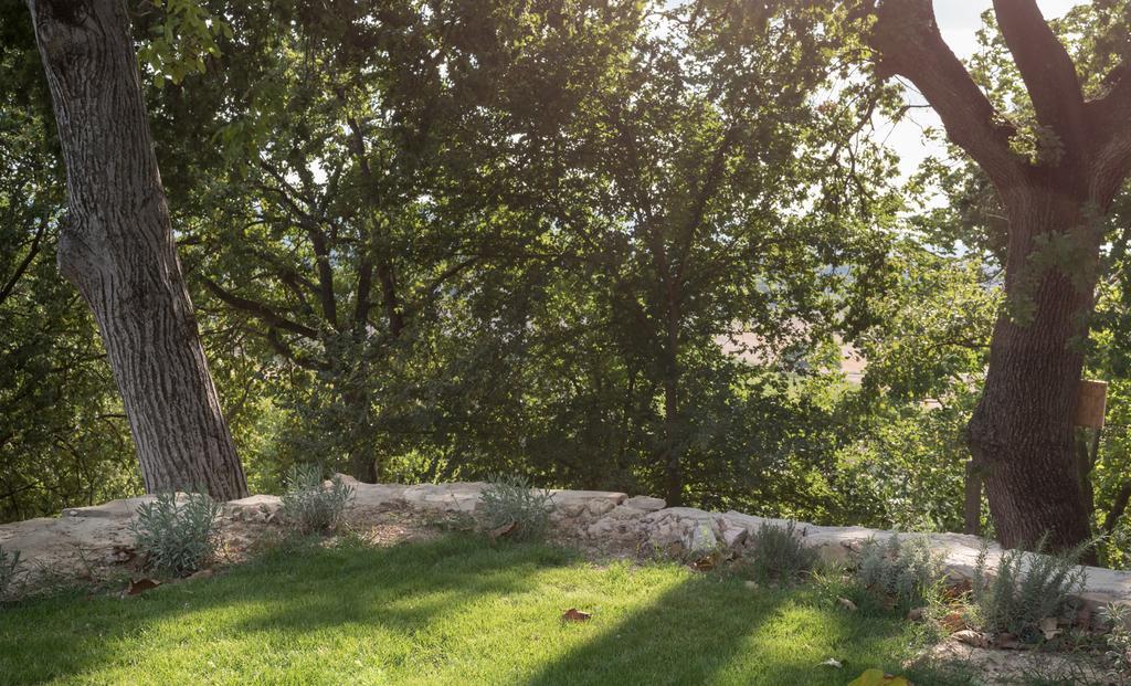B&B Cantico Delle Creature Ασίζη Εξωτερικό φωτογραφία