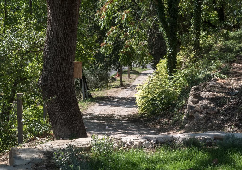 B&B Cantico Delle Creature Ασίζη Εξωτερικό φωτογραφία