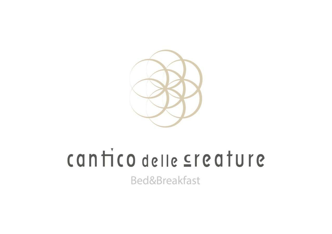 B&B Cantico Delle Creature Ασίζη Εξωτερικό φωτογραφία